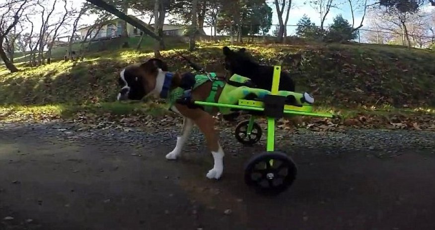 Chariots of Inspire - PHOTO+VIDEO