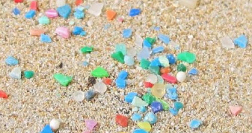 Plastic 'a threat' to biodiversity