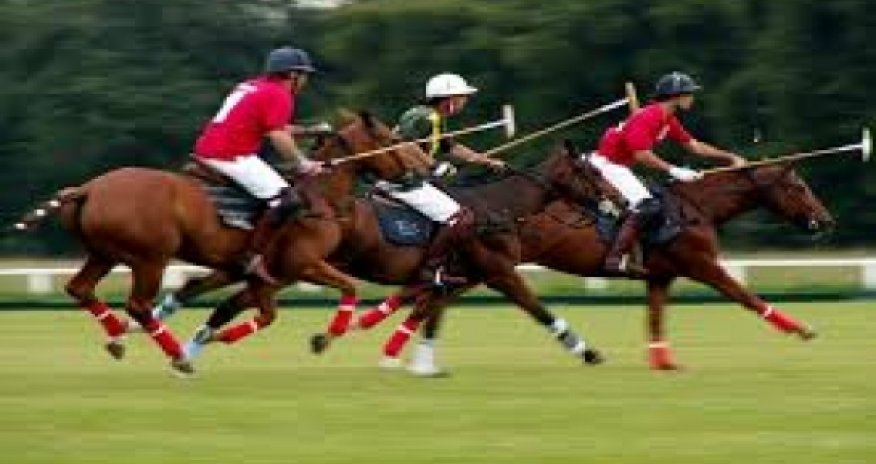 Polo included on UNESCO list of Intangible Cultural Heritage