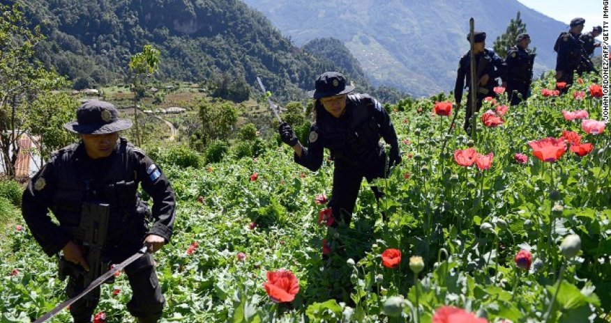 Where is the world's most corrupt nation? - PHOTO