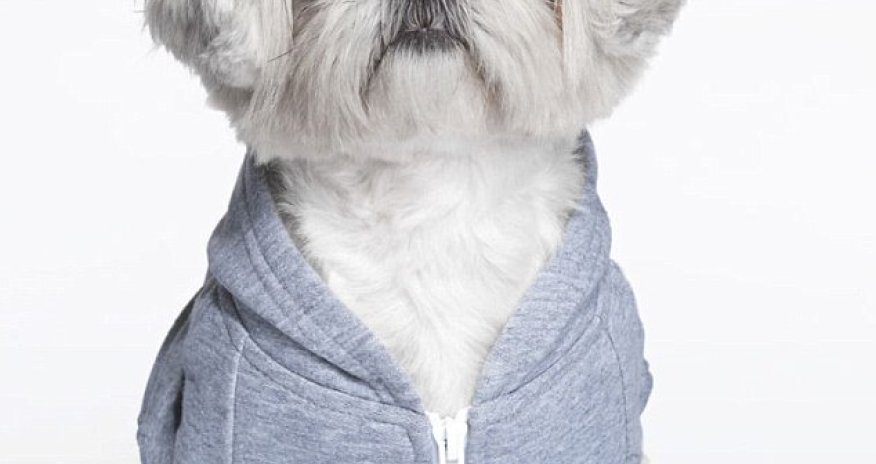 It's a dog-heat-dog world out there - PHOTO