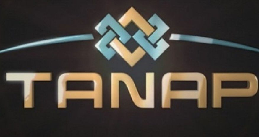 Socar says Turkey's share of Tanap pipeline may be increased