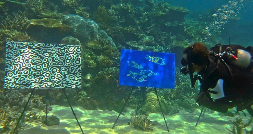 Great Barrier Reef stages underwater art exhibition - PHOTO