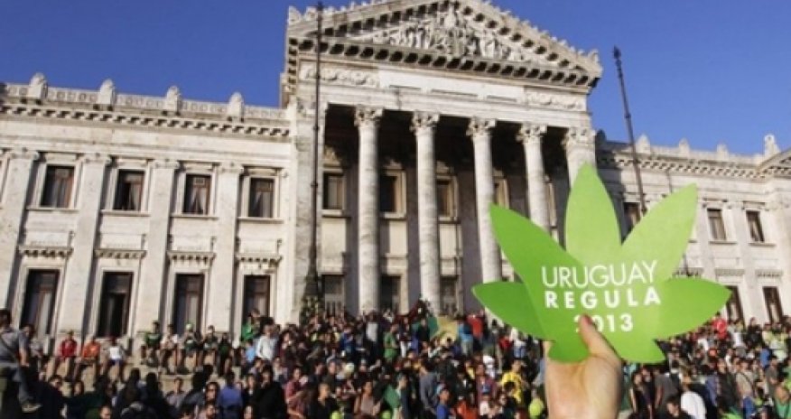 Uruguay marijuana move 'illegal' - UN drugs watchdog