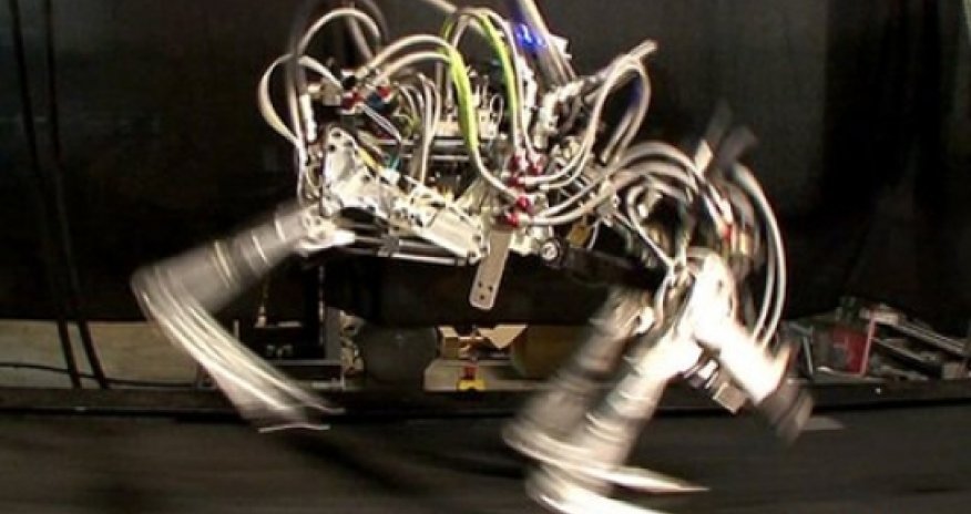 Google buys military robot-maker