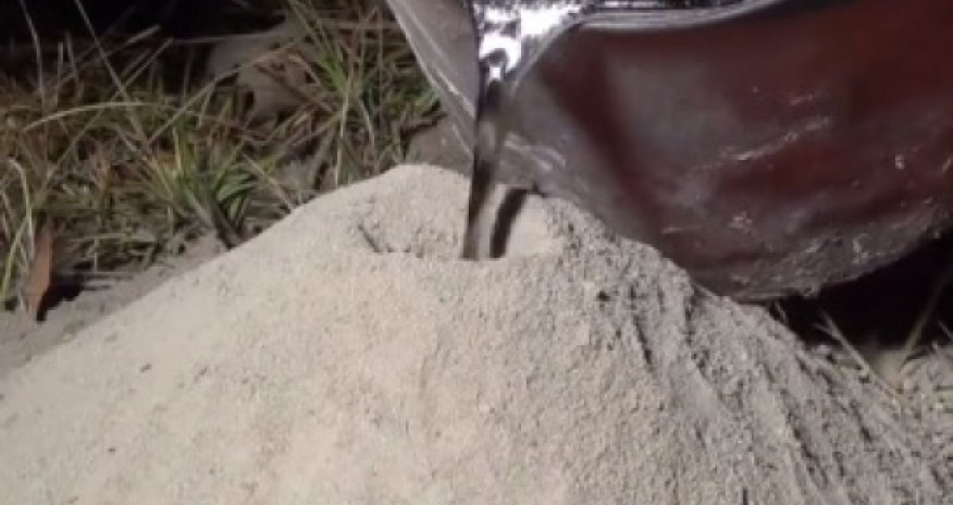 Ant colony artist responds to fierce ‘insect killing’ criticism - VIDEO