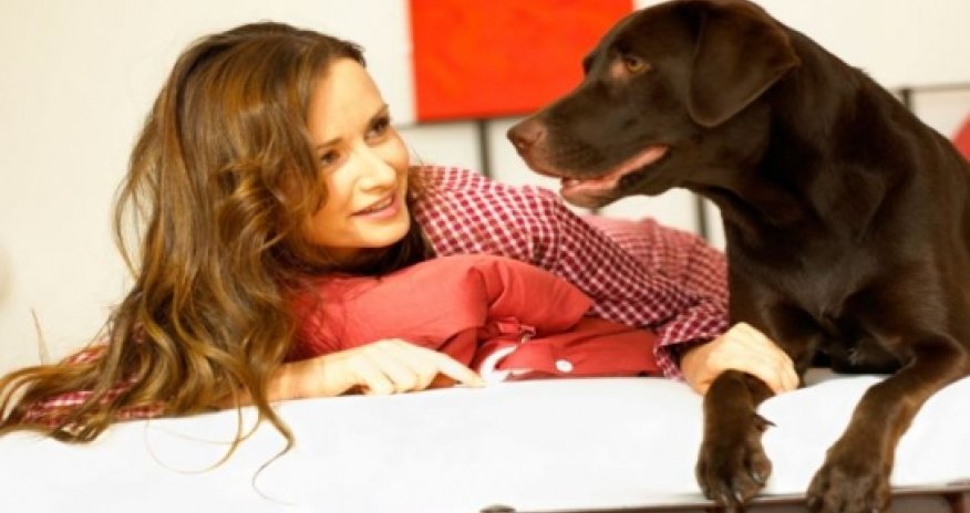 Dogs' ability to understand us is ever growing