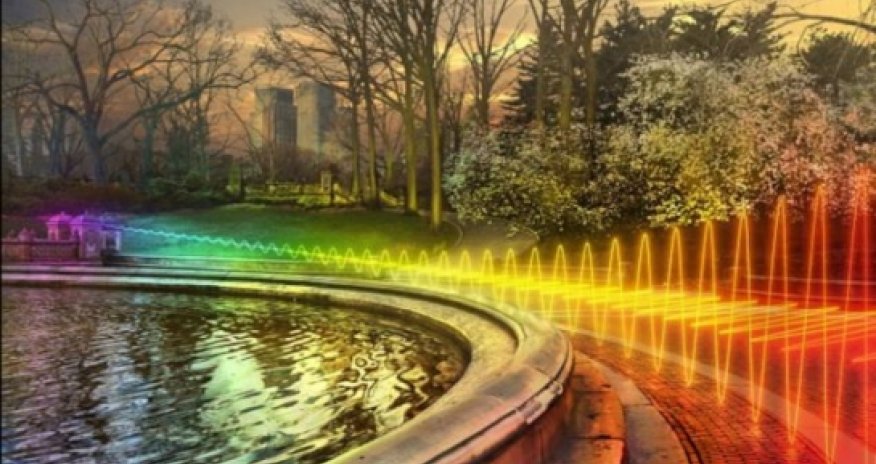 How wifi could be killing your plants