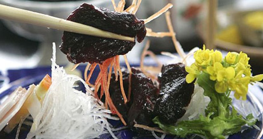 Prosecutors investigate claims of restaurants serving dolphin - PHOTO