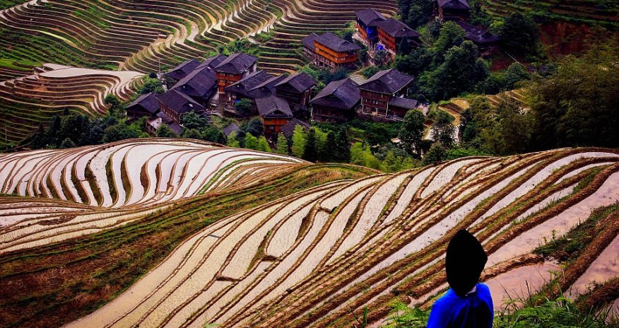 Swirls of colours and mesmerising shapes captured by photographer - PHOTO