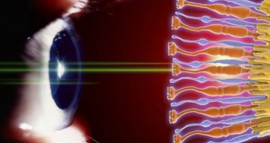 Scientists 'print' new eye cells