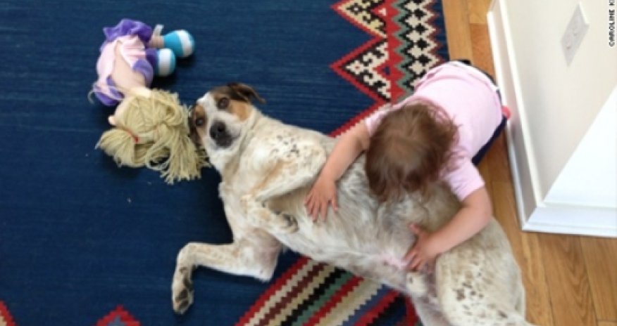 Microscopic reasons why pets protect against allergies