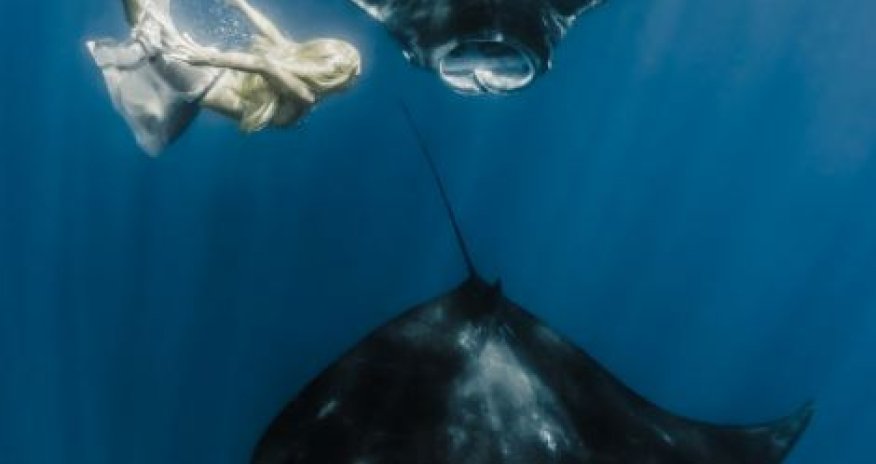 Mermaid goes tail-to-tail with giant mantra ray - PHOTO