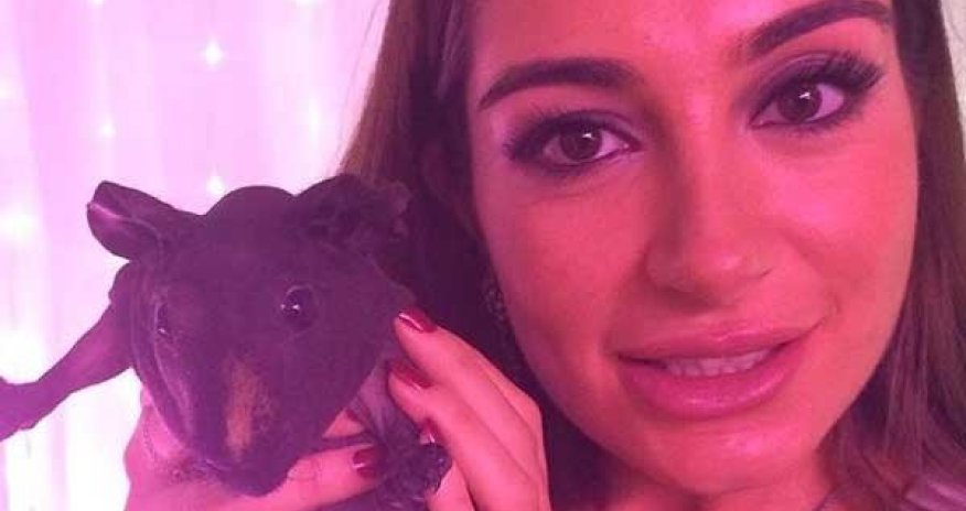 Arzu Aliyeva posts pictures with cavy - PHOTO