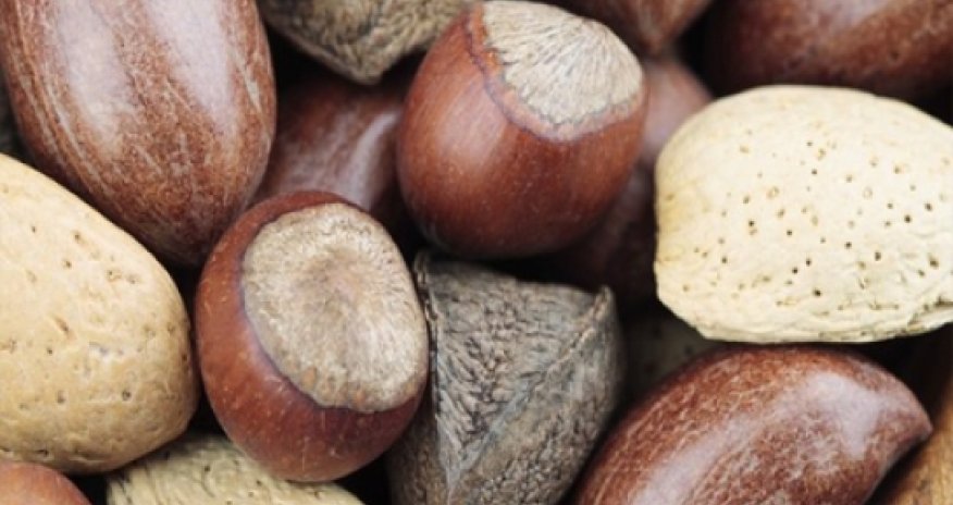 Study backs eating nuts in pregnancy