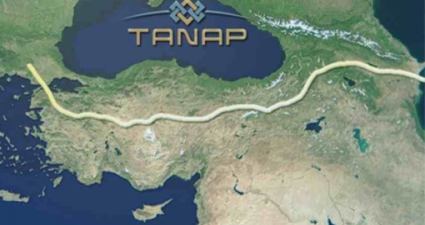 Turkey to increase its share of Tanap to 30 percent