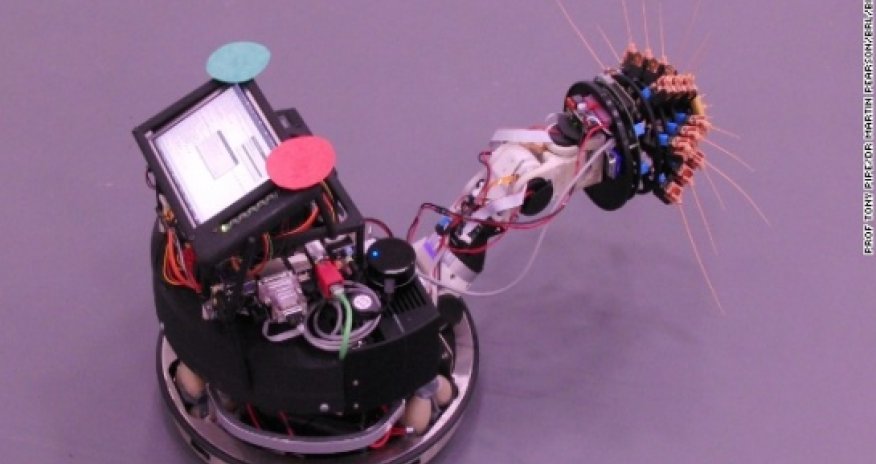 How rodents and coffee could shape future space robots