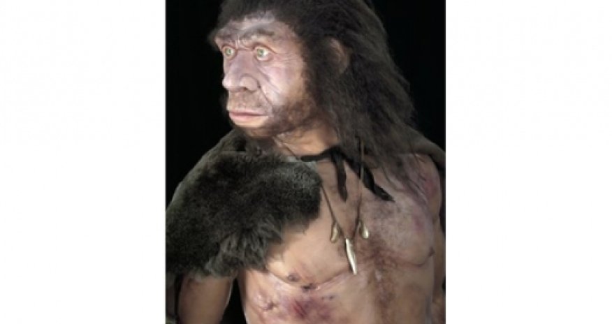 Diabetes risk gene 'from Neanderthals'
