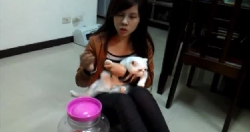Student stuffed her pet cat into glass jar as 'punishment for misbehaving' - PHOTO+VIDEO