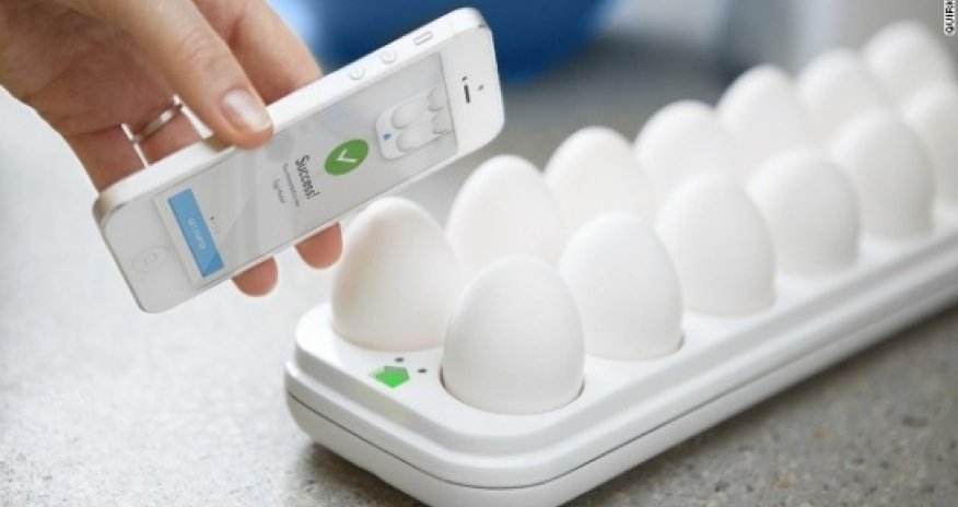 The year's most ridiculous food gifts