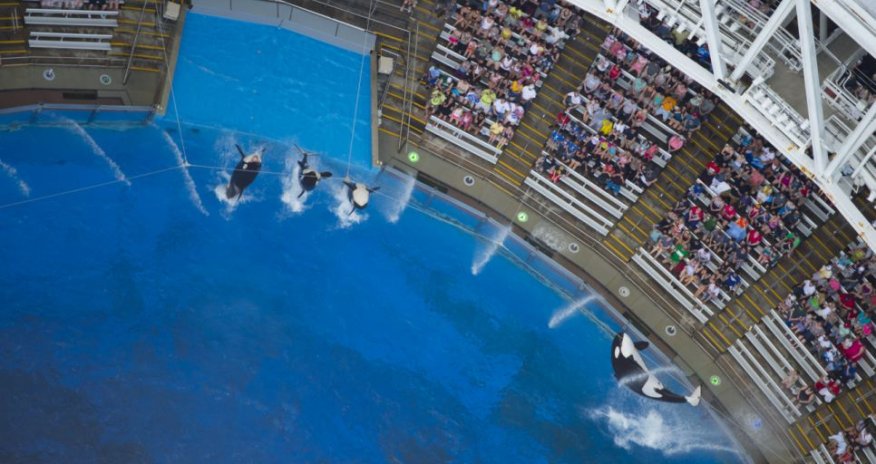 Photographer captures bird's-eye views of Disney World - PHOTO