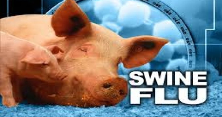 Swine flu kills Santa Clara County woman