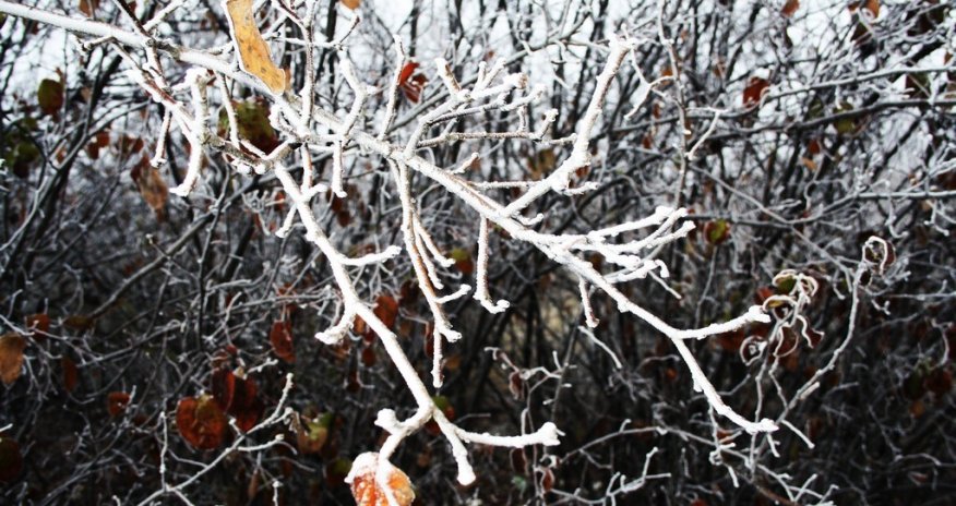 Winter in central Azerbaijan - PHOTO