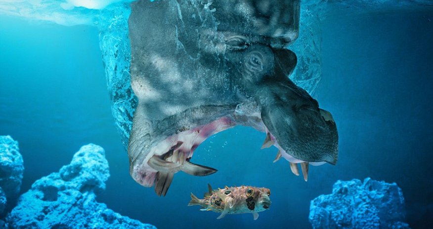 When mother nature meets photoshop - PHOTO