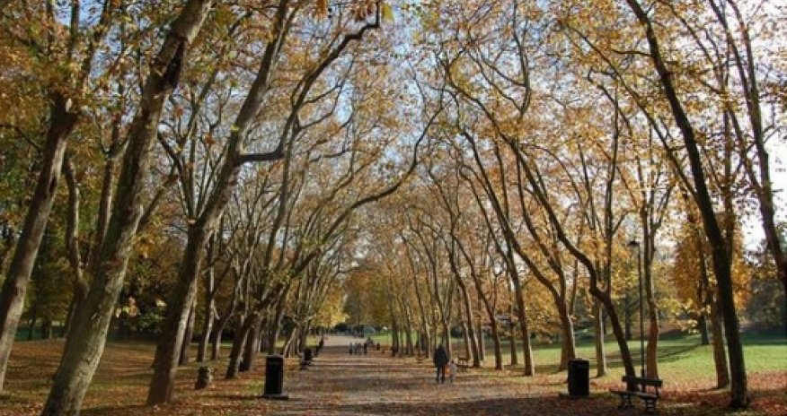 Green spaces have lasting positive effect on well-being