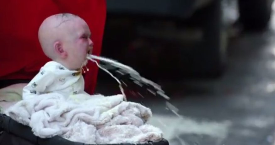 Dead whale explodes after falling from crane - PHOTO+VIDEO