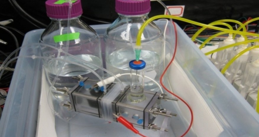 How to make petrol with bacteria - VIDEO