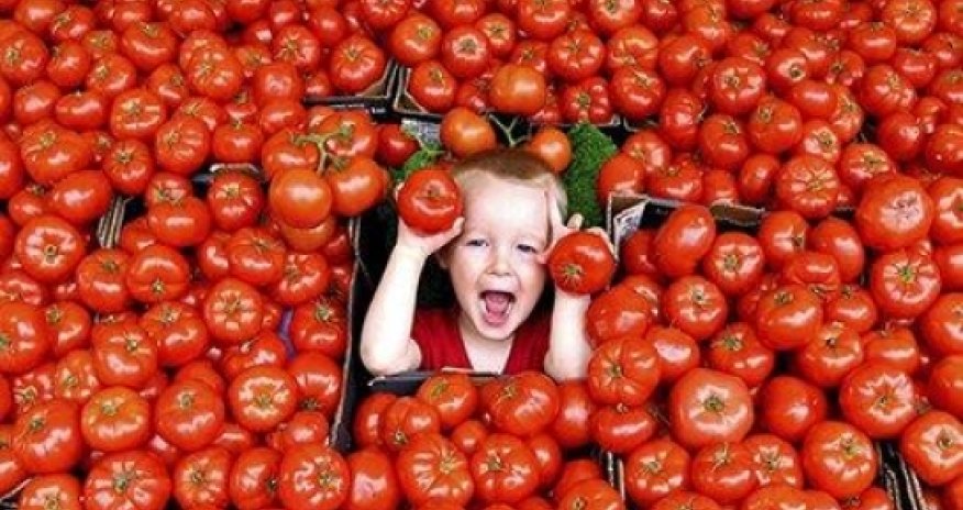 Veganuary could be a stepping stone to more sustainable eating