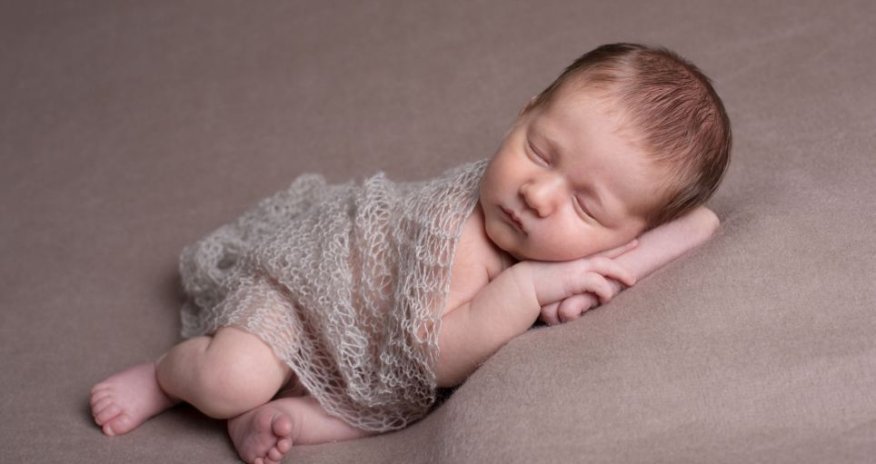 Heartwarming pictures taken by photographer - PHOTO