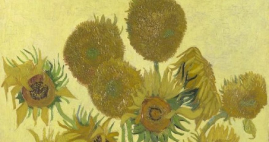 How Van Gogh's Sunflowers came into bloom