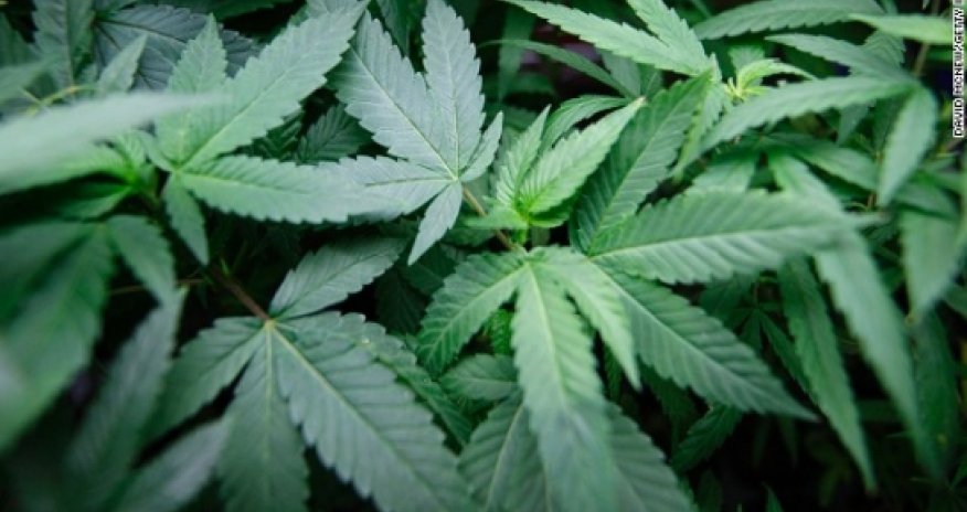 Is marijuana as safe as -- or safer than -- alcohol?