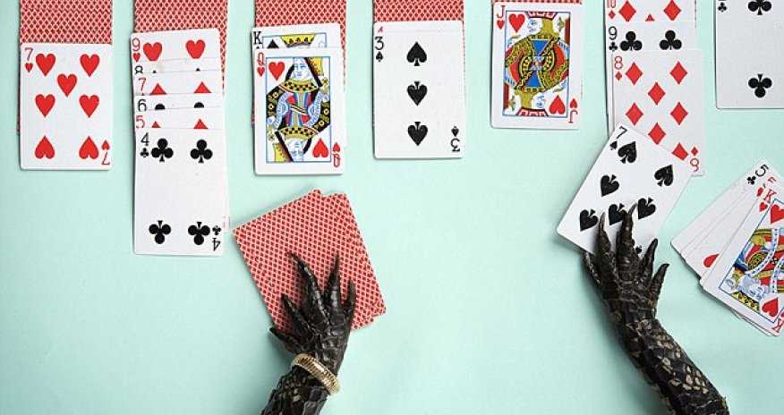 Bizarre art exhibit shows limbs of dead animals in human poses - PHOTO