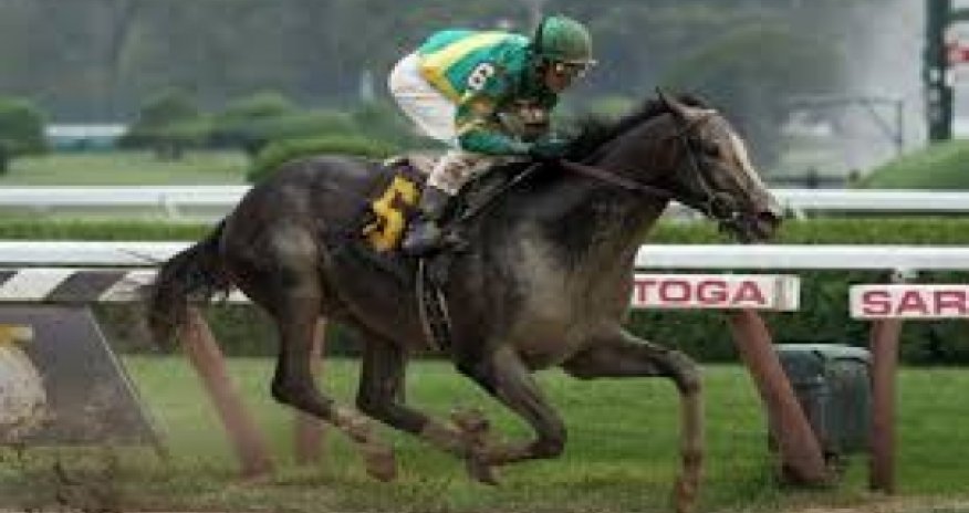 Black Fighter first Azerbaijan-bred winner in U.S., first winner for Big Surf