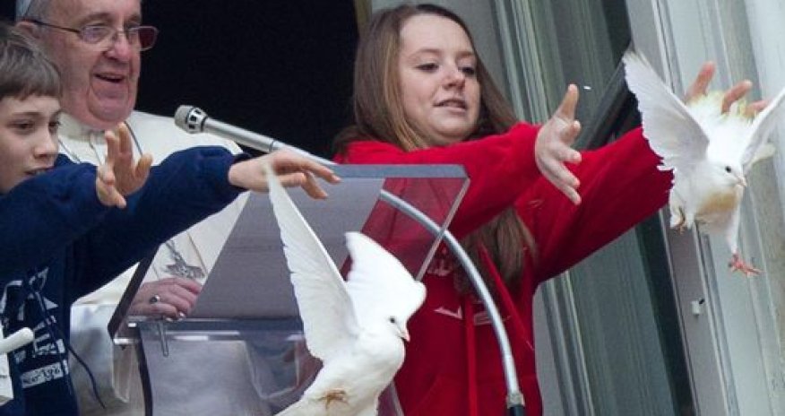 Angry birds! Pope's peace doves attacked - PHOTO