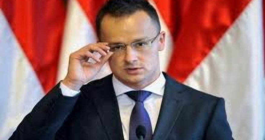 Hungarian official holds talks on water reservoir, data centre in Baku