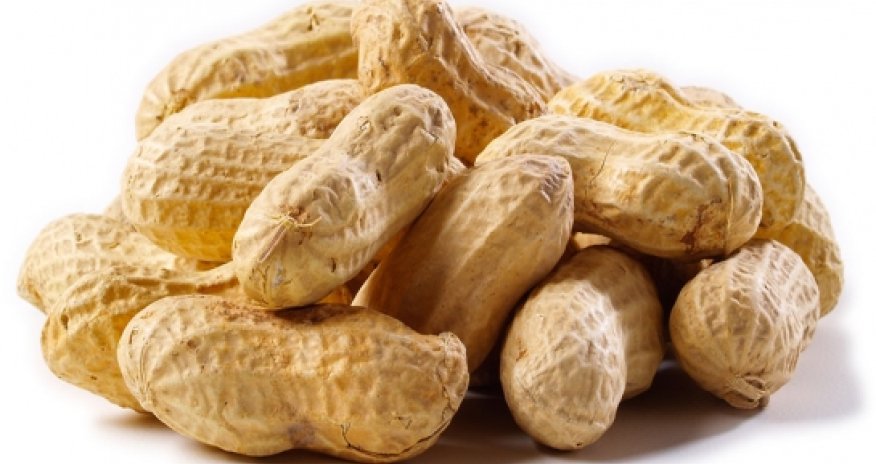 New treatment for peanut allergy declared a success