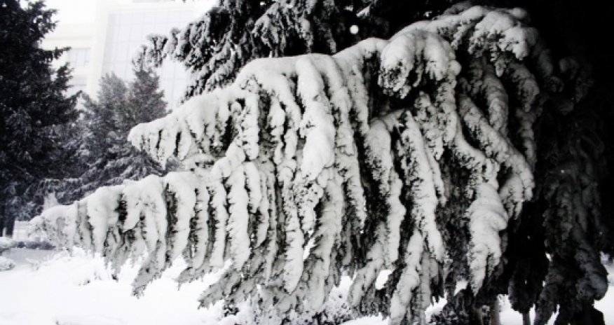 Baku weather forecast for Feb. 2