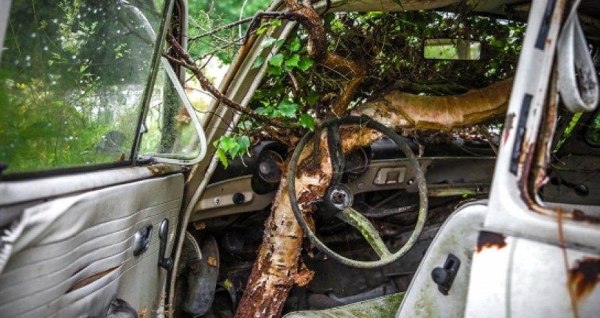 Thousands of automobiles rust away in Sweden's classic car graveyard
