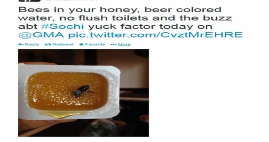 Olympic visitors' horror at hotels awash with stray dogs, brown water, bugs - VIDEO