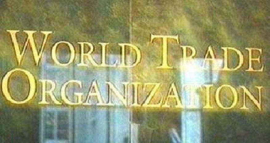 Why Azerbaijan doesn't join WTO?