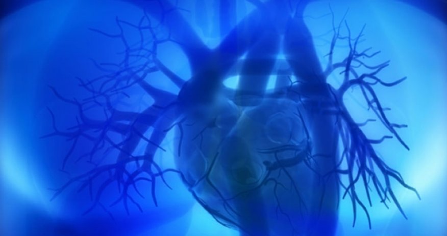 For couples, mutual ambivalence increases cardiovascular risk