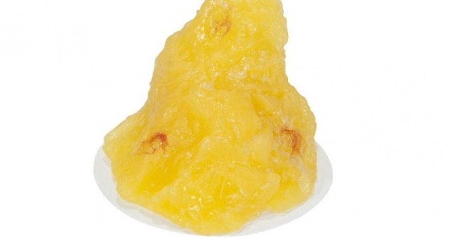 What a single pound of human fat looks like