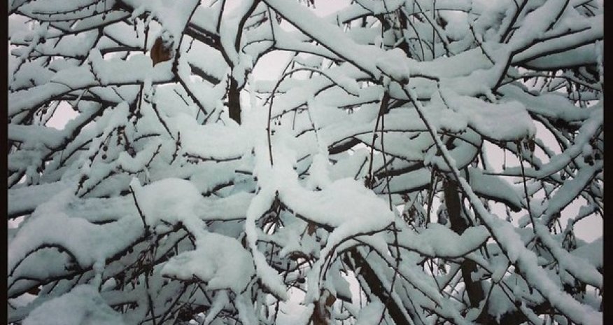 Winter views of Ganja - PHOTO