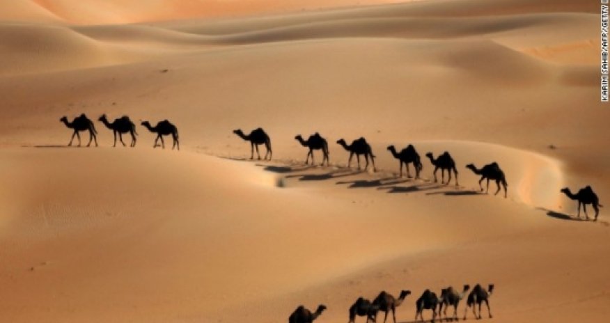 Will camel discovery break the Bible's back?