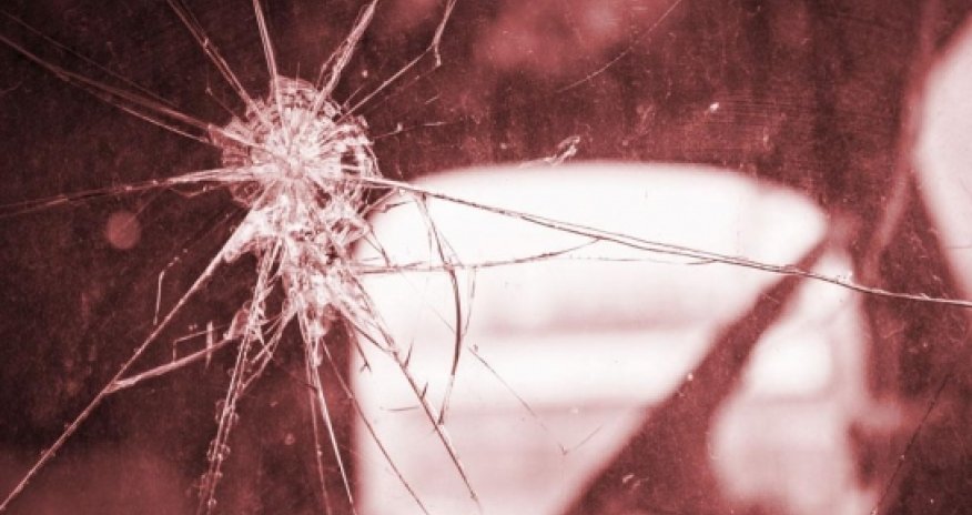 Why birds can’t avoid hitting your car windscreen