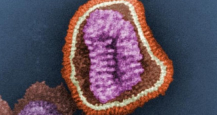 5 ways diseases in other countries can kill you